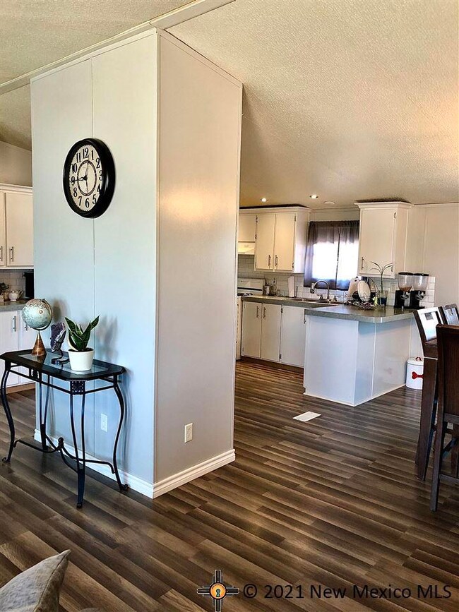 4307 Boyd Dr, Carlsbad, NM 88220 - photo 6