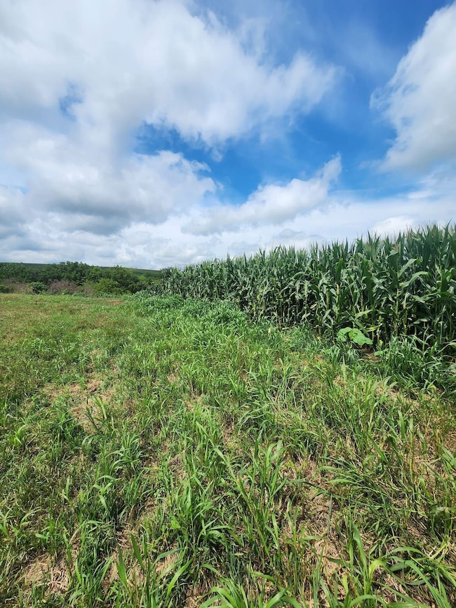 Tbd Mustang Ave, Nelson, MO 65347 - photo 2