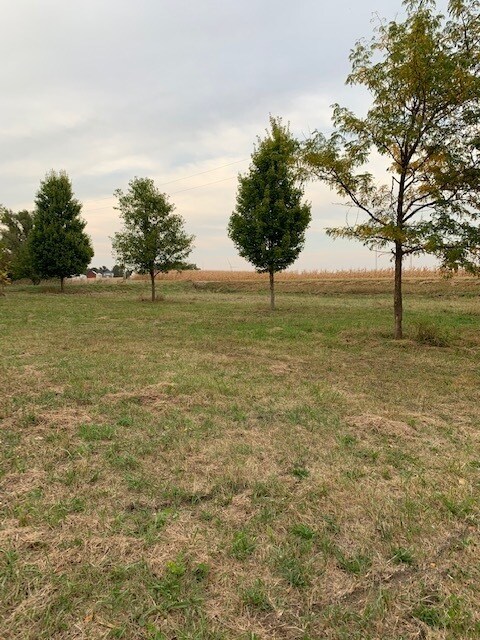 11666 Backbone Rd, Wyanet, IL 61379 - photo 3