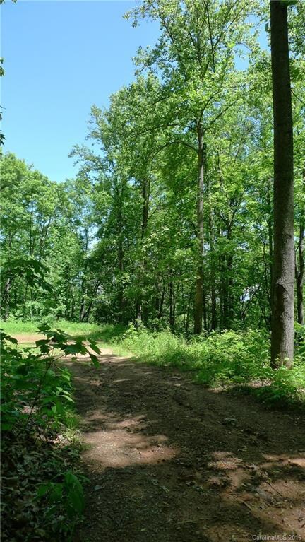 99999 Blossom Ridge, Leicester, NC 28748 - photo 3