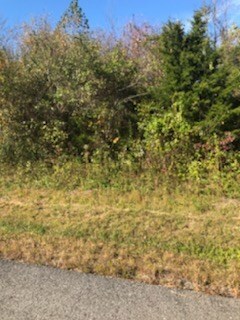 Lot 37 Melanie Dr, Cookeville, TN 38506 - photo 5