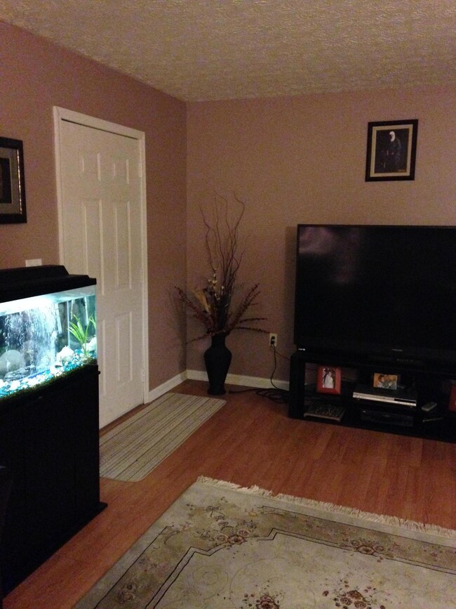 Entry/living room