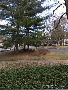 View from side porch. Park like area to the right 