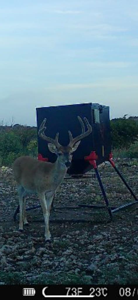 0000 Poverty Canyon Rd, Bronte, TX 76933 - photo 6