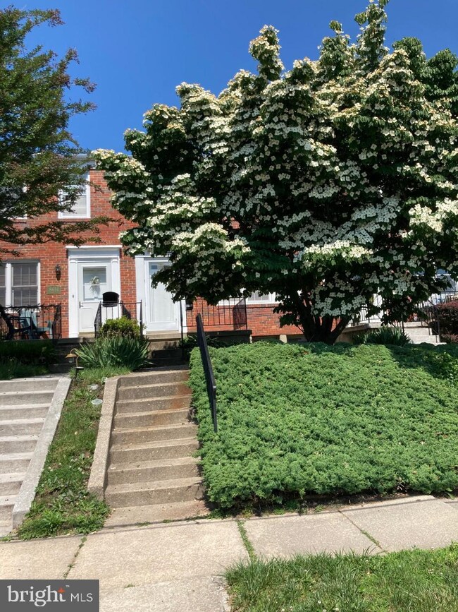 8616 Pleasant Plains Rd, Towson, MD 21286 - photo 4