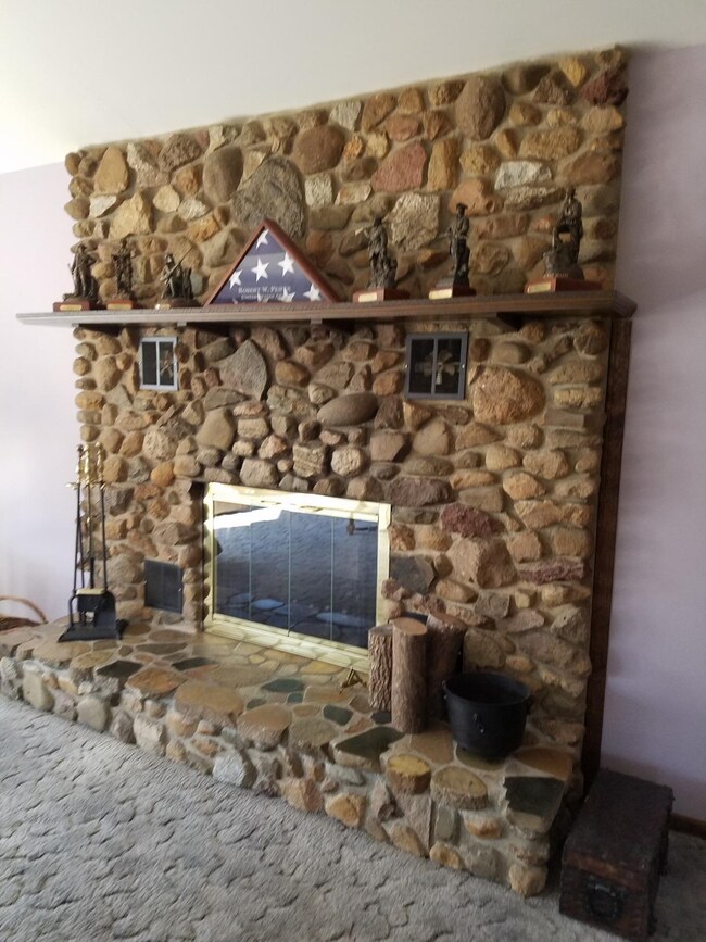 11617 Patterson Ave, Cedar Lake, IN 46303 - photo 4