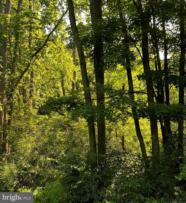 0 Pine Crest Rd, McClure, PA 17841 - photo 2