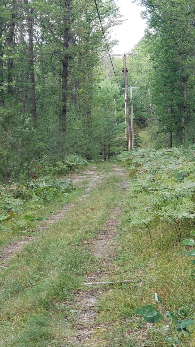 Drive and powerline