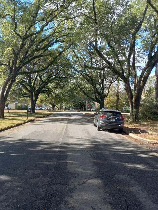 1211 6th Ave, Albany, GA 31707 - photo 3