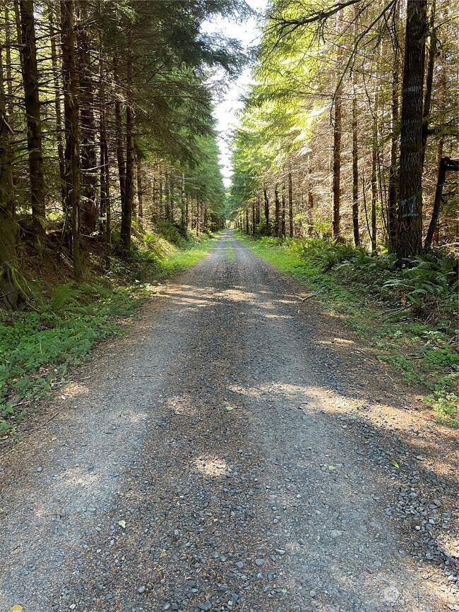 0 Wiest Rd unit NWM2155730, Longview, WA 98632 - photo 3