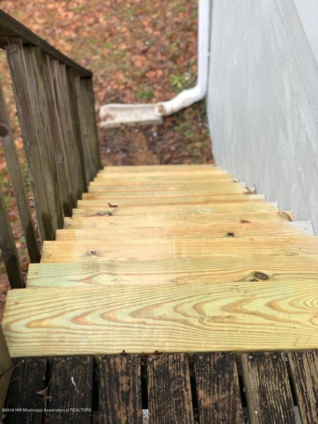Thunderbird new steps in back
