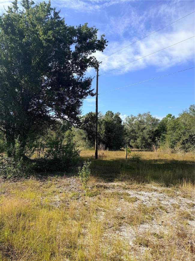 Power pole at the back of the lot