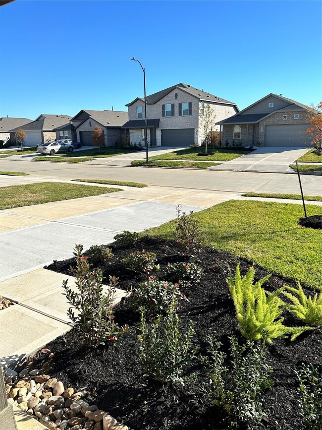 29038 Rolling Tundra Way, Hockley, TX 77447 - photo 6