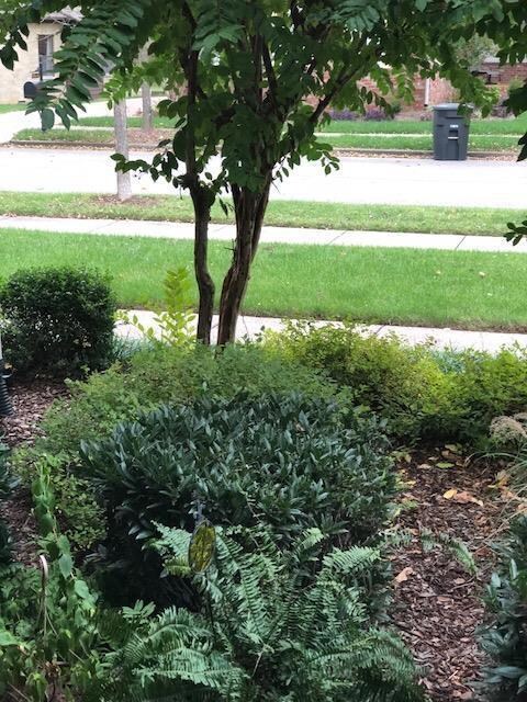 Private view from front porch