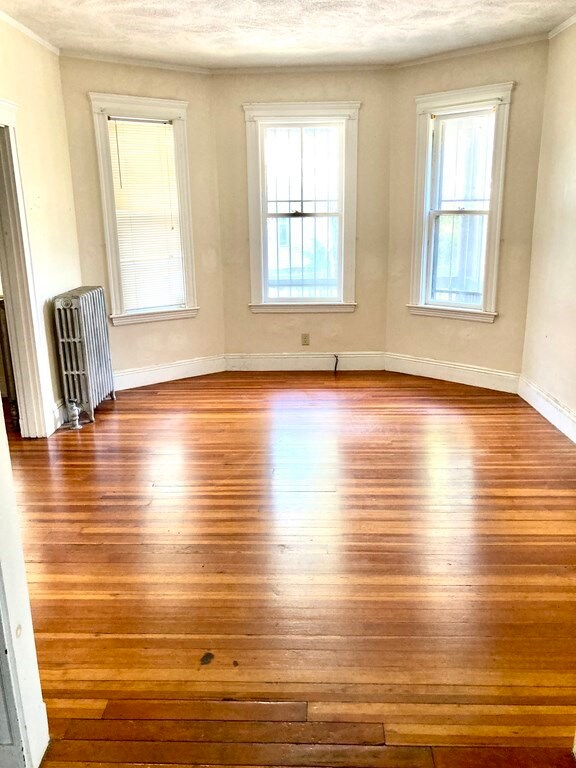 51 Elmore St unit 1, Roxbury, MA 02119 - photo 2