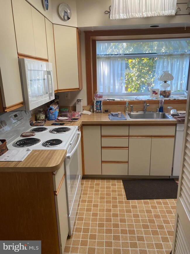 5730 Clarence Ave, Alexandria, VA 22311 - photo 4