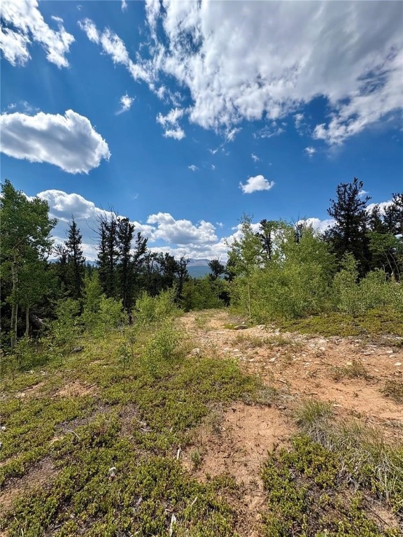 TBD Beaver Creek Rd, Fairplay, CO 80440 - photo 6
