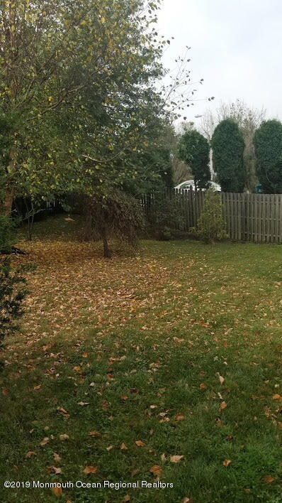 16backyard