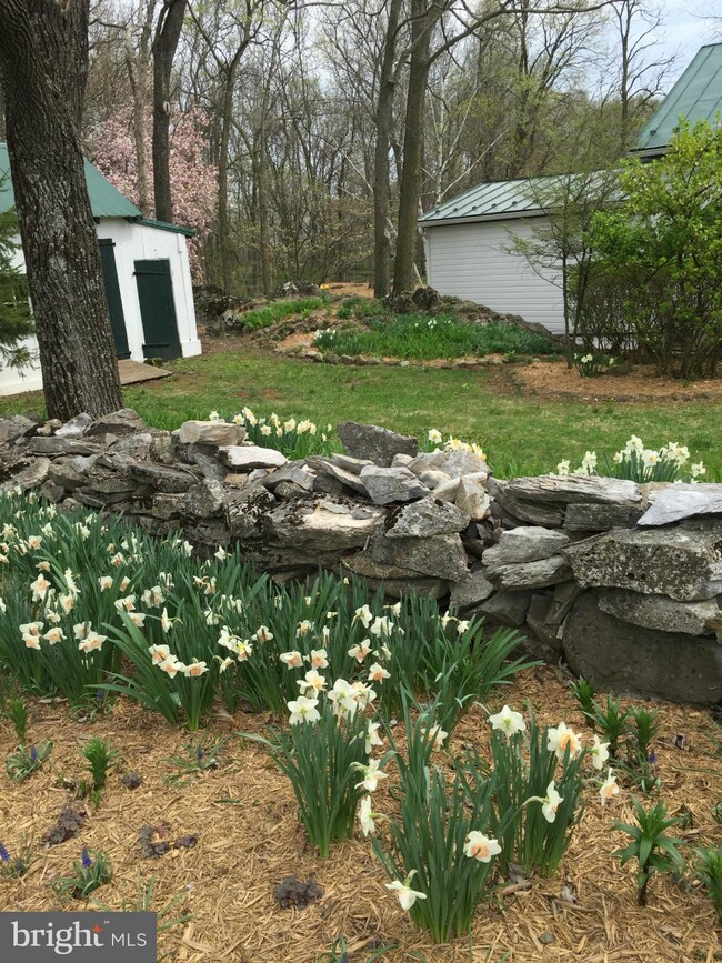 126 Terrapin Neck Rd unit 126, Shepherdstown, WV 25443 - photo 6