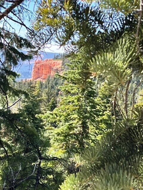 1110 W Big Horn Cir, Duck Creek Village, UT 84762 - photo 6