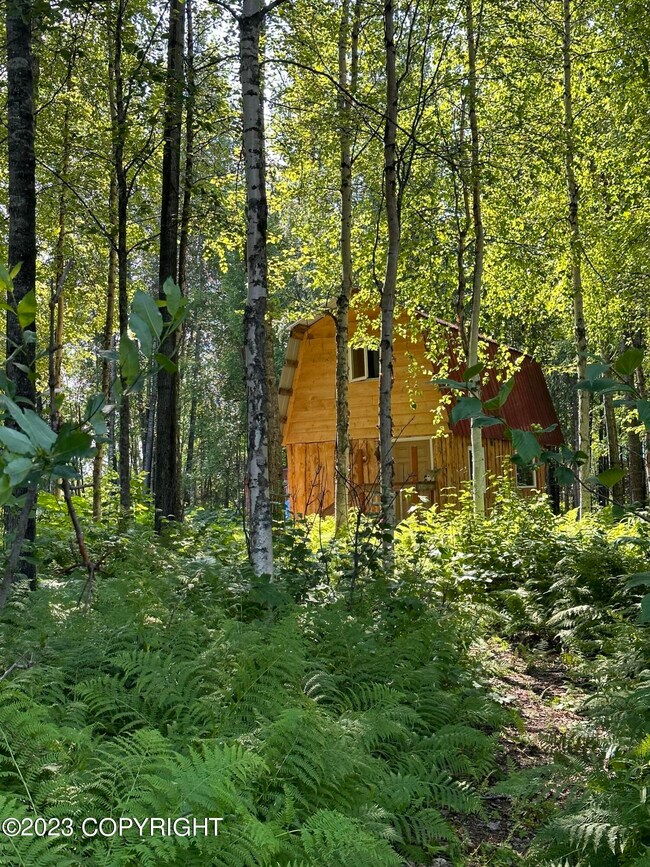 Back of Cabin