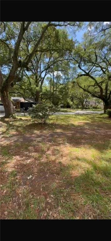 717 8th Ave, Albany, GA 31701 - photo 4