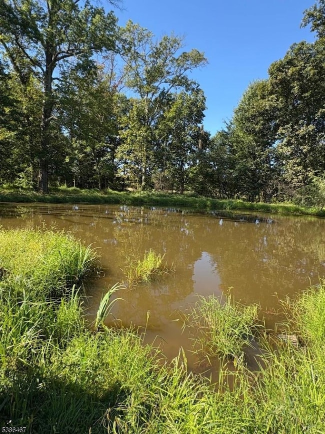 15 Opdyke Rd, Frenchtown, NJ 08825 - photo 4