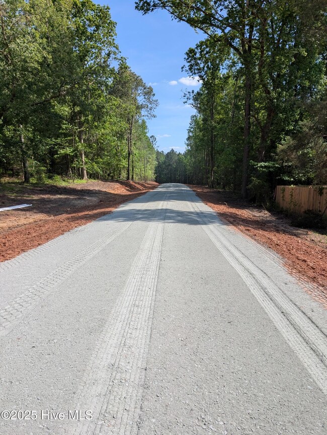 530 Fletcher Farms Way, Carthage, NC 28327 - photo 3