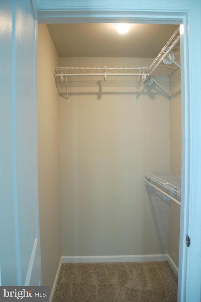 8861 Georgetown Rd, Chestertown, MD 21620 - photo 7