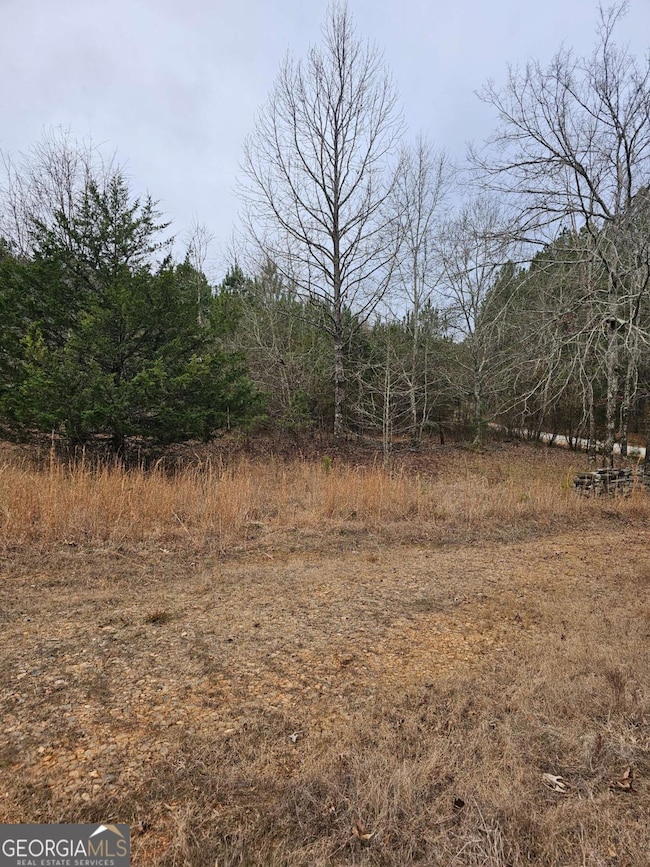 730 Osley Mill Rd, Carlton, GA 30627 - photo 2