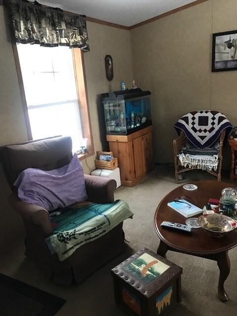 17 Welch Dr, Plymouth, NH 03264 - photo 4