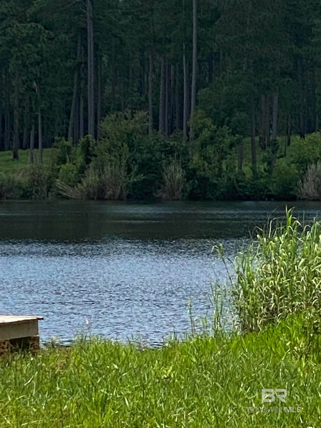 34 Steelwood Ridge Rd unit 34, Loxley, AL 36551 - photo 6