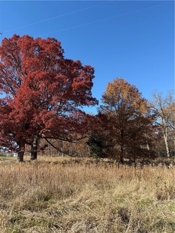 9264 Caleb Rd, Argenta, IL 62501 - photo 5