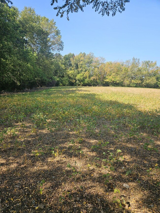 VL Thorne Rd, Horton, MI 49246 - photo 5