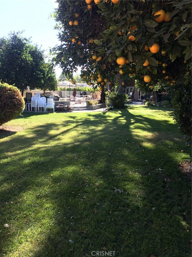 Large & inviting backyard with fruit trees, grass, mature landscaping and so much more.