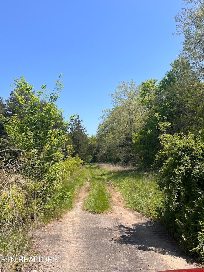 9406 Heiskell Rd, Heiskell, TN 37754 - photo 4