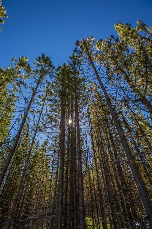 13 Trophy Bull Road Rd, Big Sky, MT 59716 - photo 7