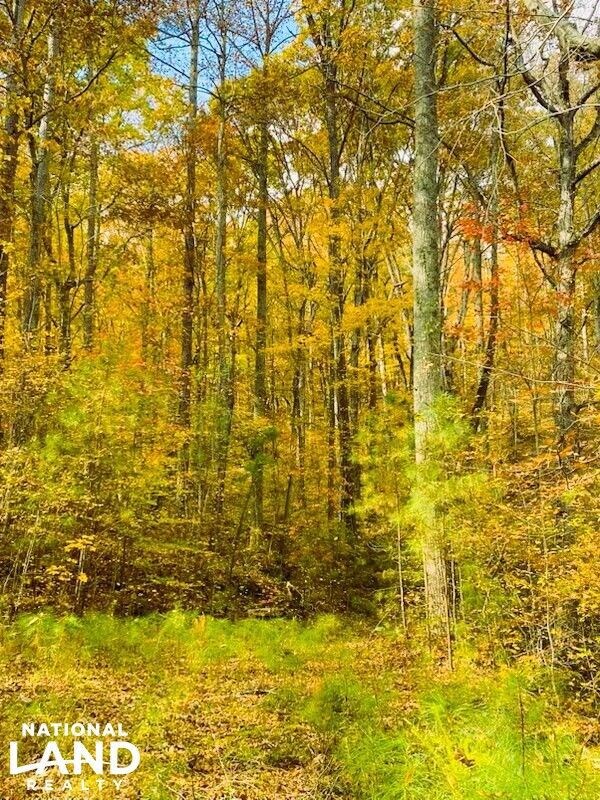 0 Pocket Rd, Lafayette, GA 30728 - photo 7