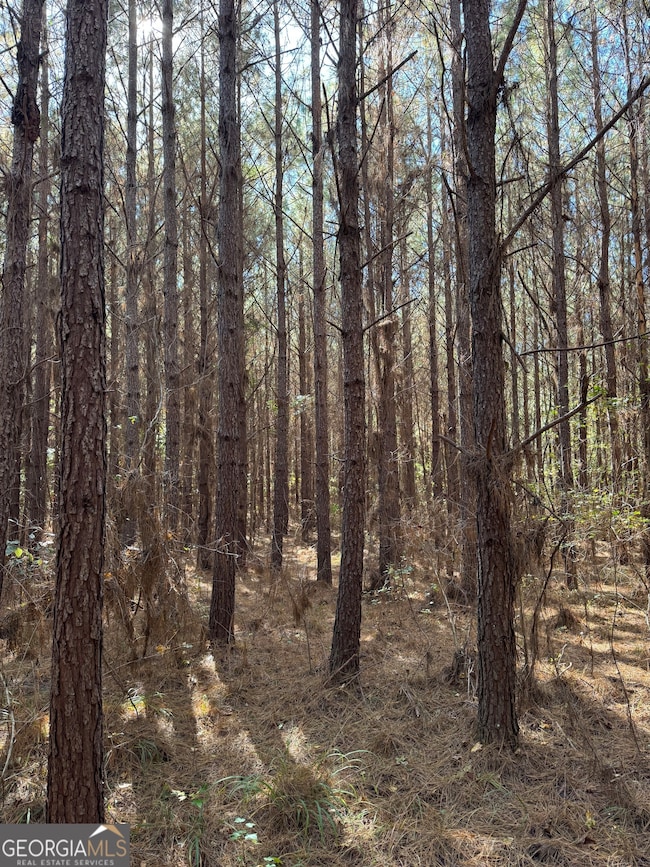 000 Jones Bridge Rd, Sparta, GA 31087 - photo 3