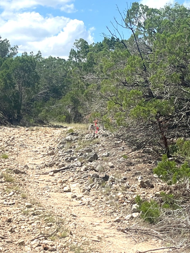 854 Pole Crave Creek Rd, Leakey, TX 78873 - photo 3