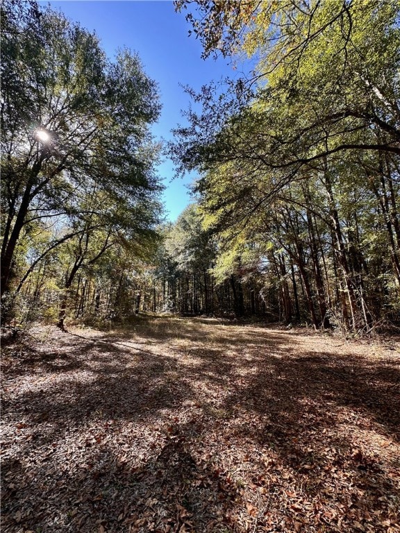 0 Highway 82 N, Eufaula, AL 36027 - photo 3