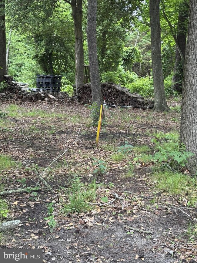 14073 Old Furnace Rd, Georgetown, DE 19947 - photo 7