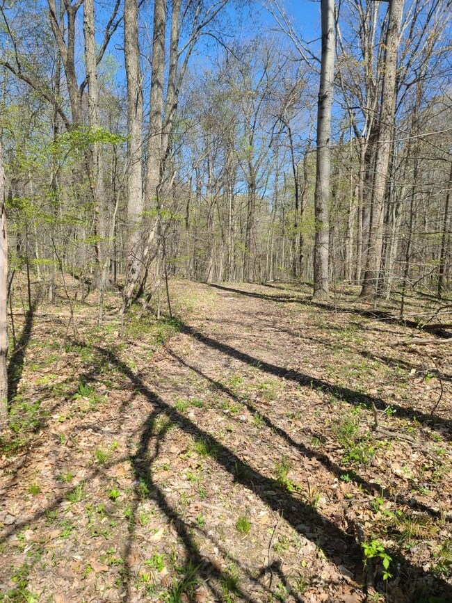 9106 Davison Rd, Oldenburg, IN 47036 - photo 7