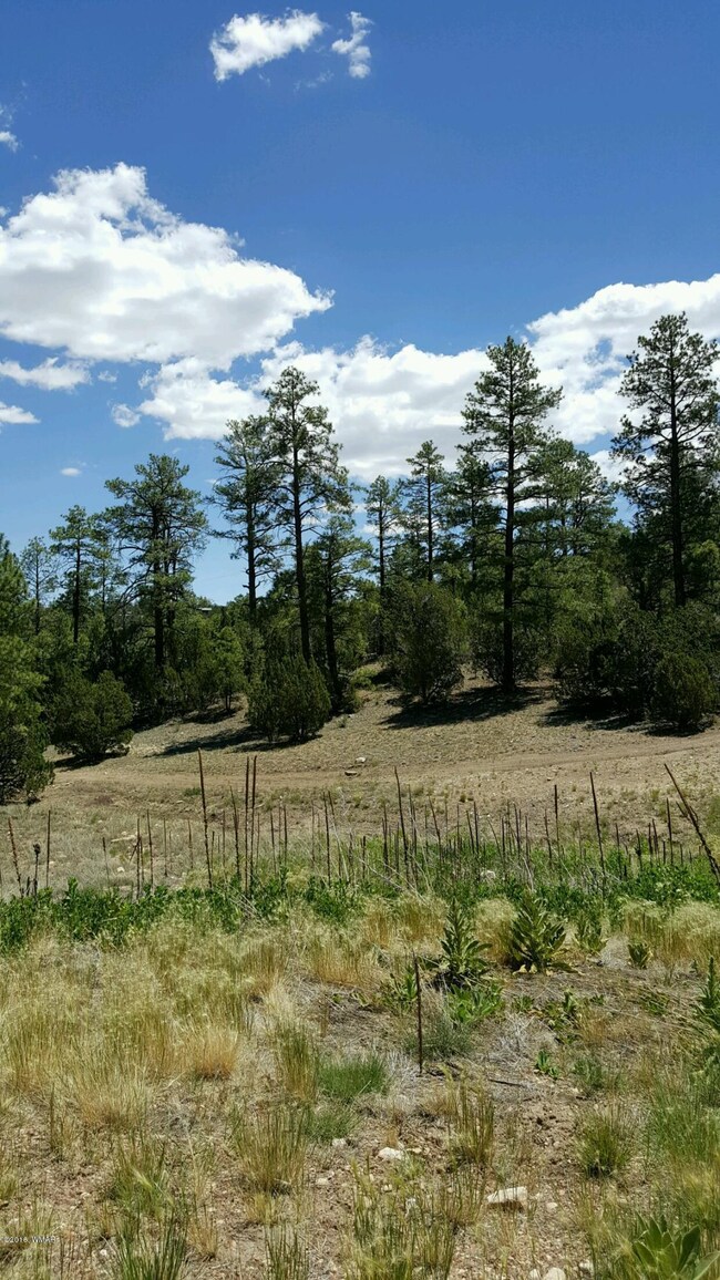 Sawmill pic 6
