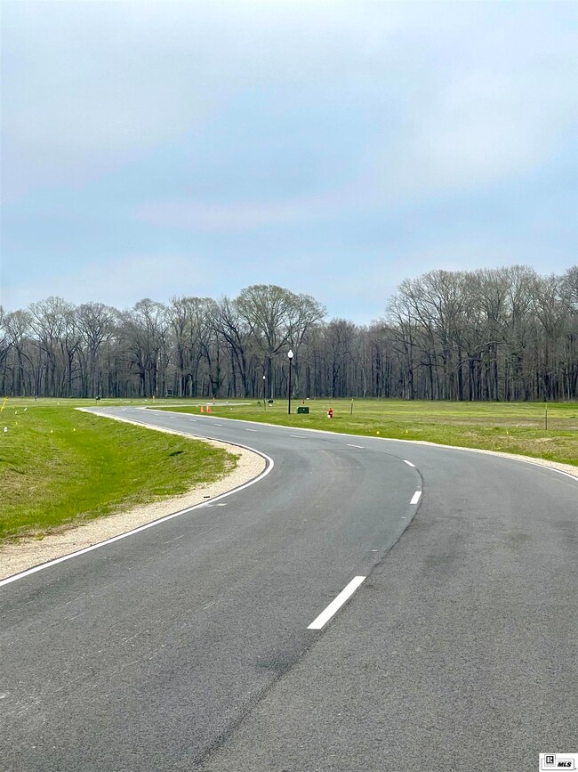 9343 Desiard Trace, Sterlington, LA 71280 - photo 5