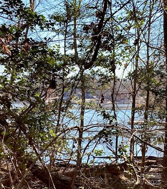 283 Rivercliff Dr unit 20, Stony Point, NC 28678 - photo 4