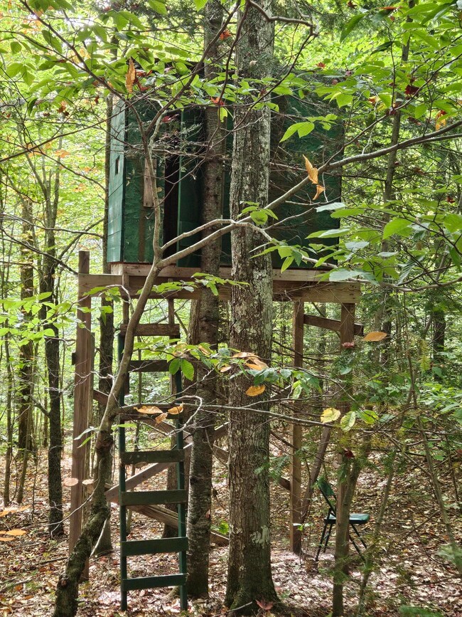 29084 Cr 455, McMillan, MI 49853 - photo 5