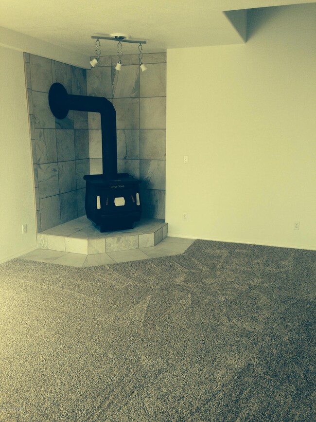 Woodstove in Living Area