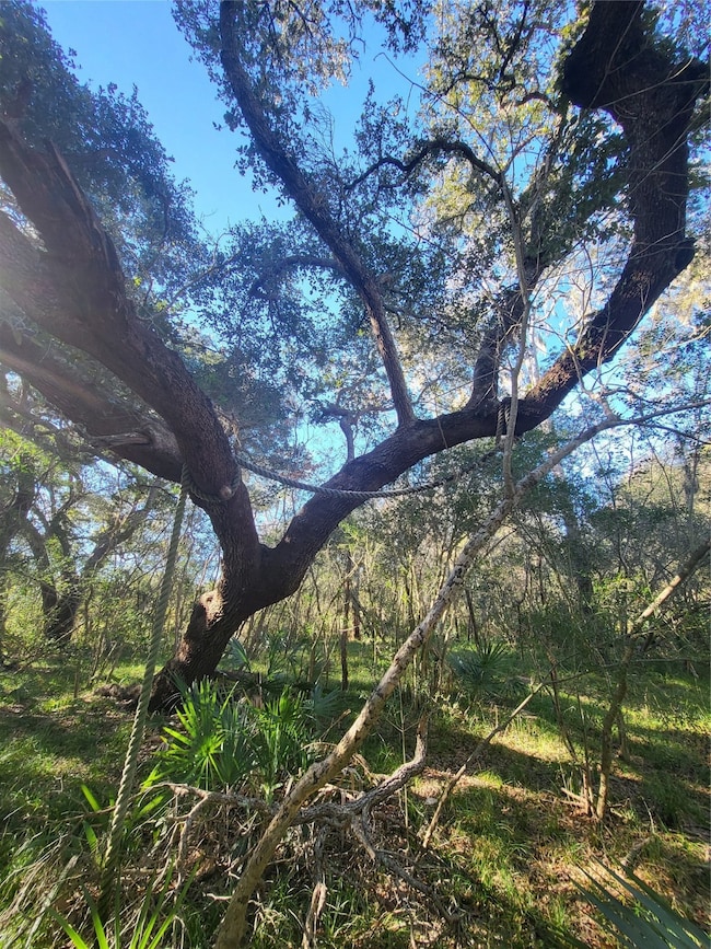 592 Cabana Trail, Angleton, TX 77515 - photo 6