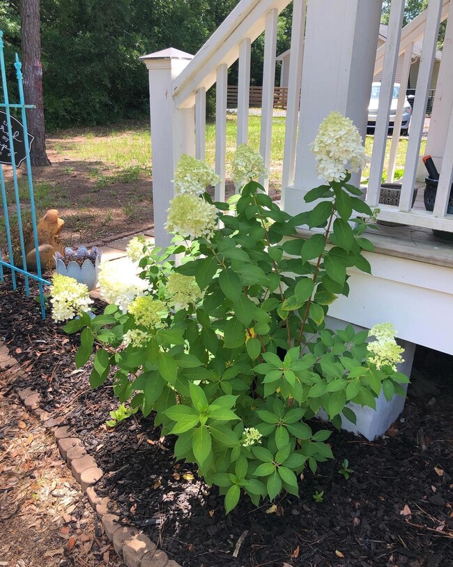 915 Ralph Nesbit Rd, Awendaw, SC 29429 - photo 7